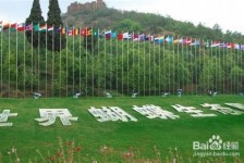 崇左昆明旅游攻略(昆明旅游攻略景点大全抚仙湖)