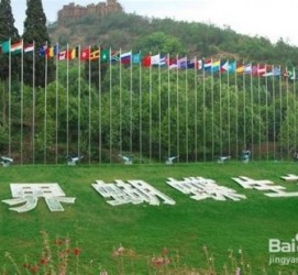 崇左昆明旅游攻略(昆明旅游攻略景点大全抚仙湖)