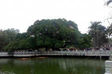 崇左福州旅游攻略(福州旅游攻略二日游)