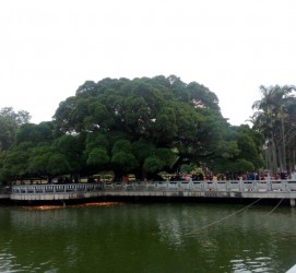 崇左福州旅游攻略(福州旅游攻略二日游)