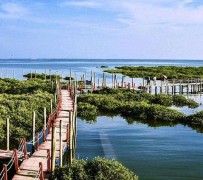 崇左旅游哪里好玩(云南旅游哪里好玩)