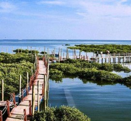 崇左旅游哪里好玩(云南旅游哪里好玩)