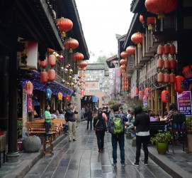 崇左成都自助游(成都自助游住哪里方便)