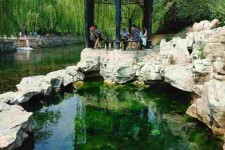 崇左济南旅游攻略(青岛威海济南旅游攻略)