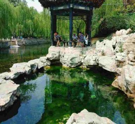 崇左济南旅游攻略(青岛威海济南旅游攻略)