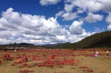 崇左旅游去处(暑期最好的旅游去处)