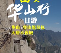 崇左一日游(一日游需要准备些什么东西?)