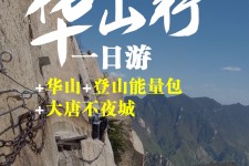 崇左一日游(一日游需要准备些什么东西?)