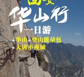 崇左一日游(一日游需要准备些什么东西?)
