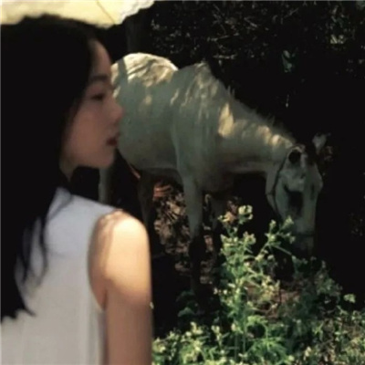 崇左私家伴游让你拥有一次完美的旅游体验