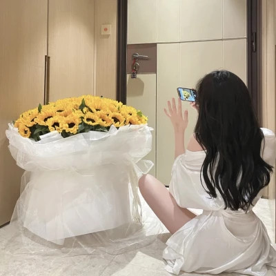 崇左商务伴游带客户畅游北京故宫,感受千年文化